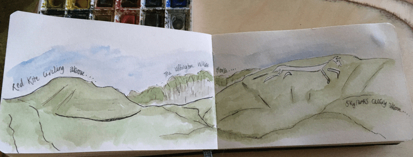 207BCD04-FB8D-44E9-A054-EC1387A0B05D