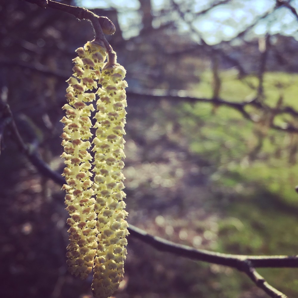 6C8B84CC-AF3C-4730-8555-878465946D90