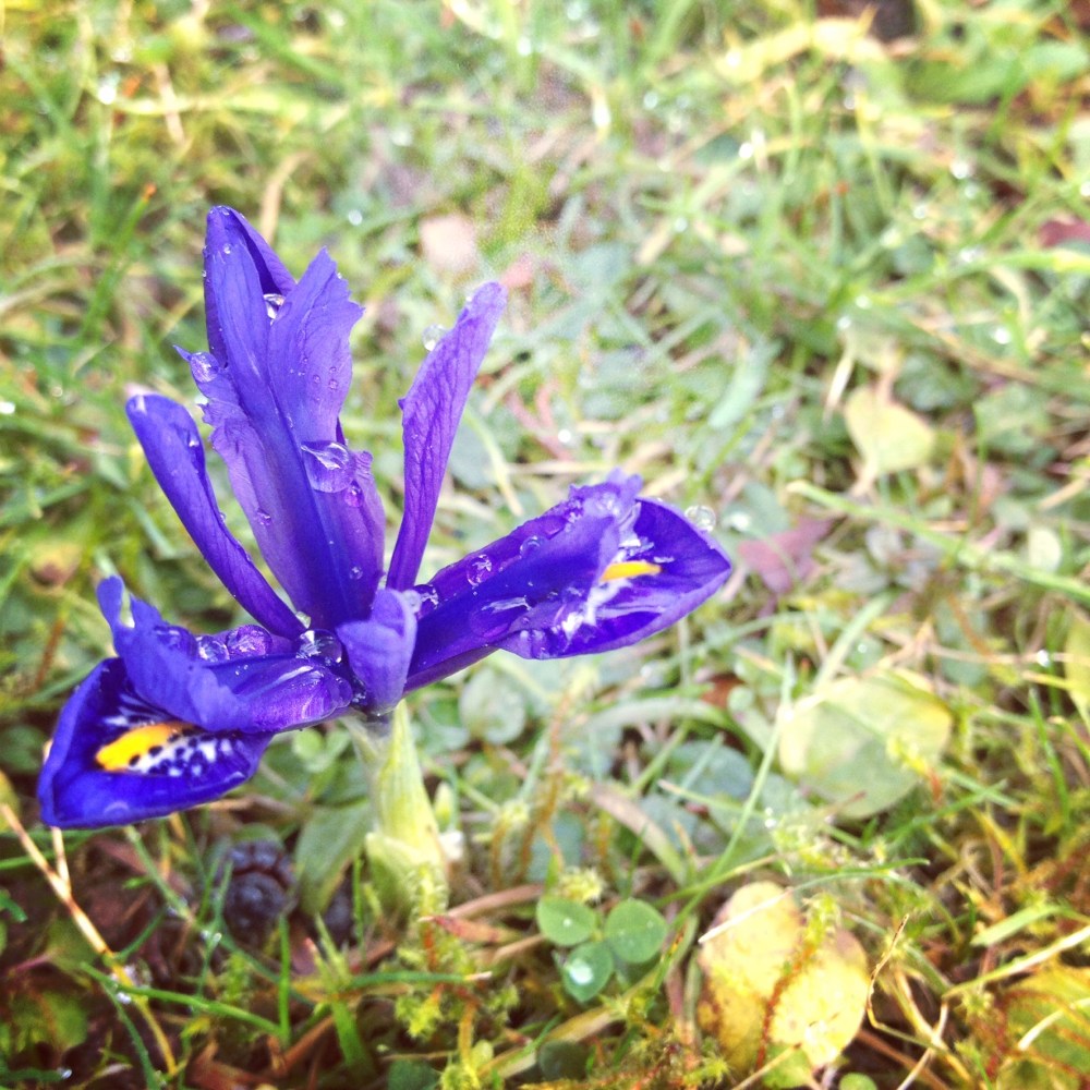 BB9585F0-B748-4054-82C8-975D160C4A16