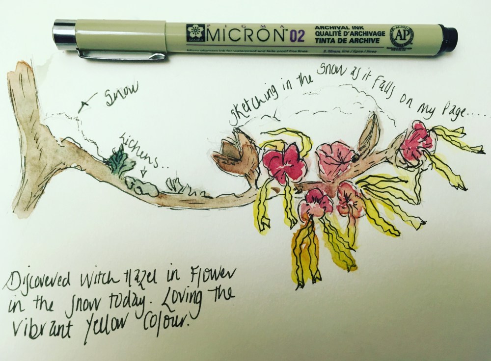 0B57B2DE-C033-4240-A8E6-879D53A68B5B