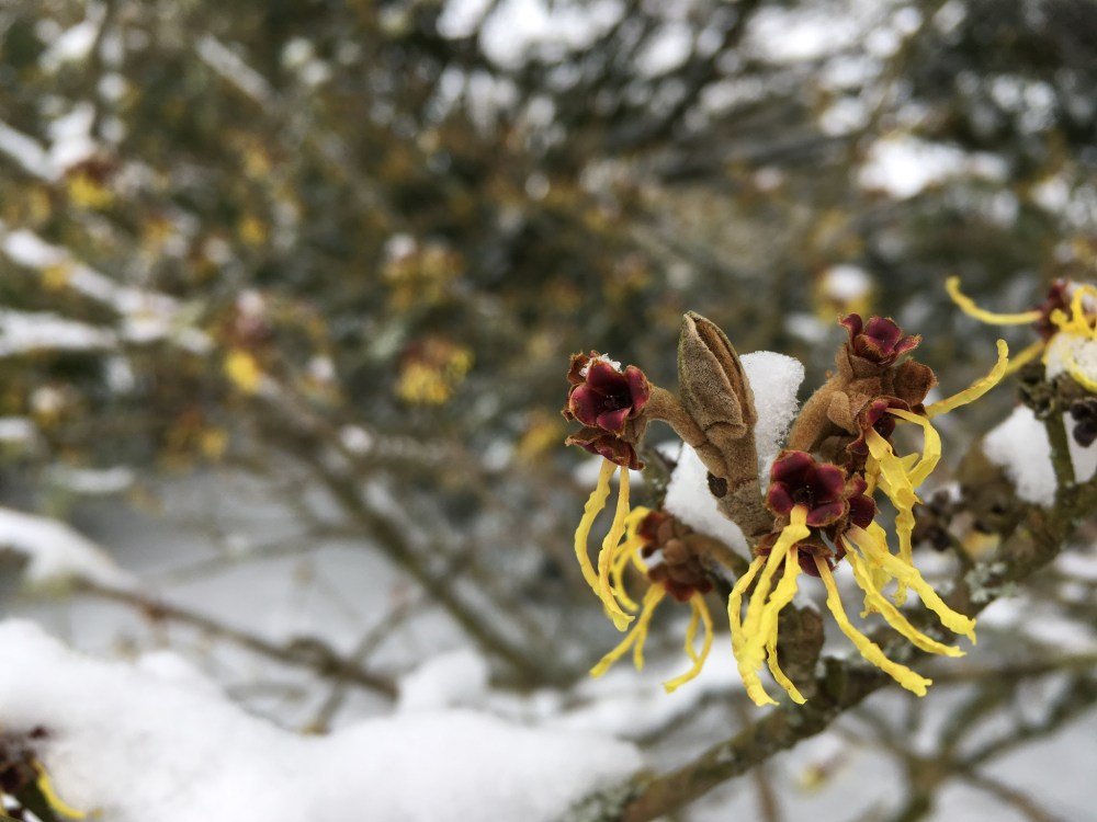 0D17AD98-F569-4FB7-BB64-785BE4071174