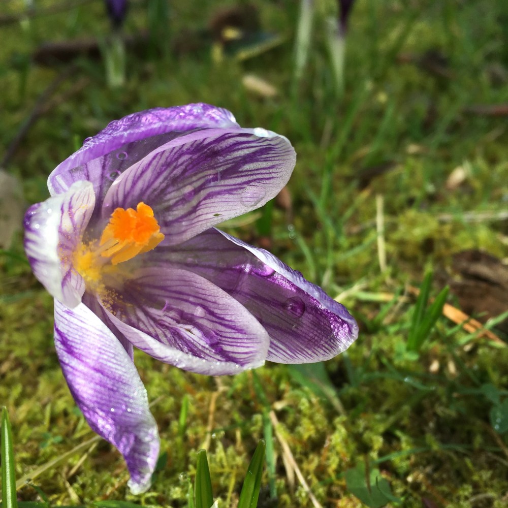 1FC62C56-6D3F-4658-8CD6-3B34E3CEB2CA