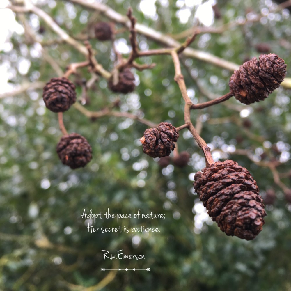 4CC11BA4-9BA1-4F7B-825E-3F22FC7B64C5