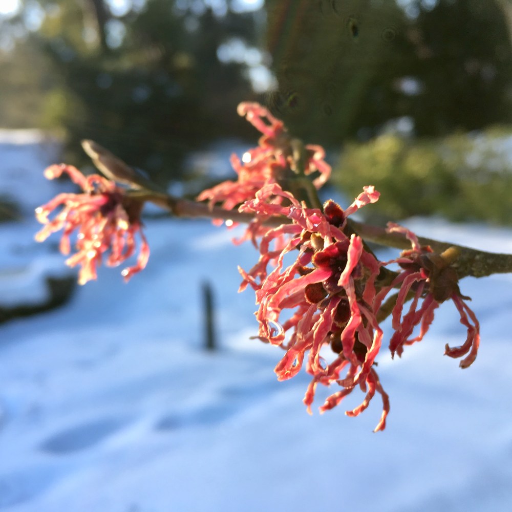 7504C20F-3D41-414A-88D5-081CD442EDD6