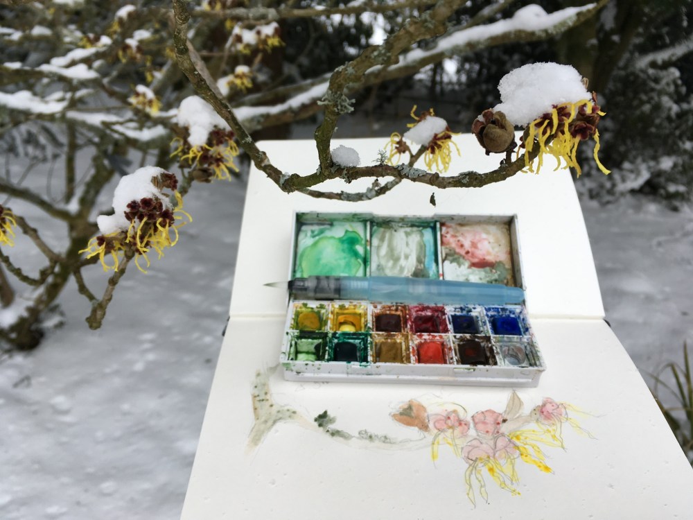 84A923B4-8381-41A7-83C0-96DD17B8CC75