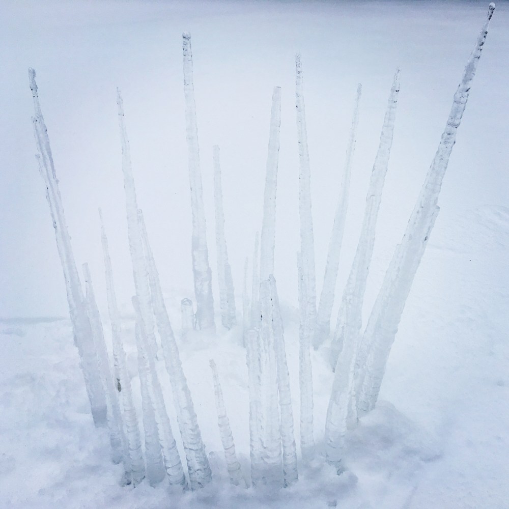 8EC36163-493C-40FD-8B1A-28EC7FBD4EFE