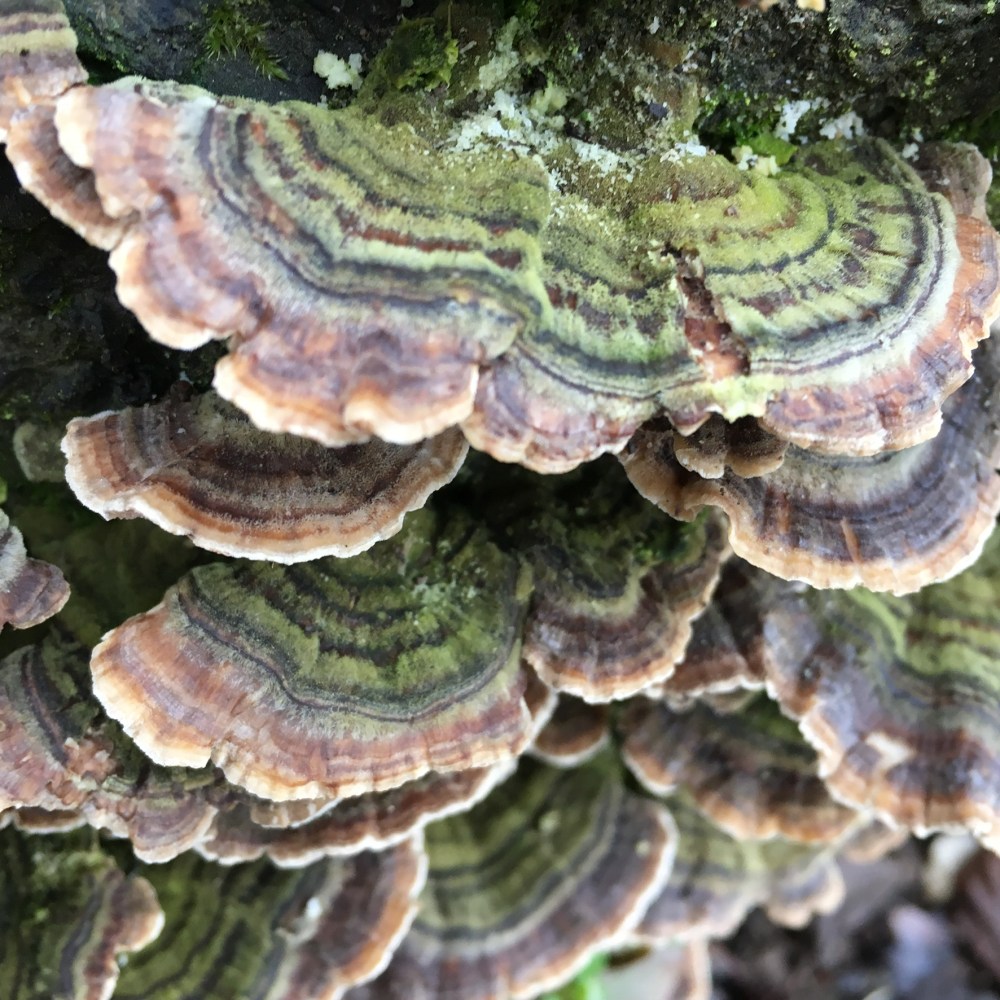 A10075A5-C284-4937-A83F-6C52F12A72C8