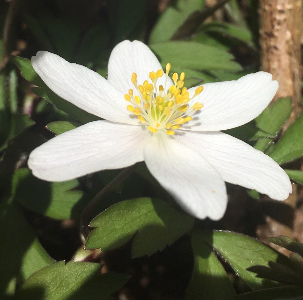 E7DF4E2C-DE06-46A9-8C8C-9A7F6BBABEF4