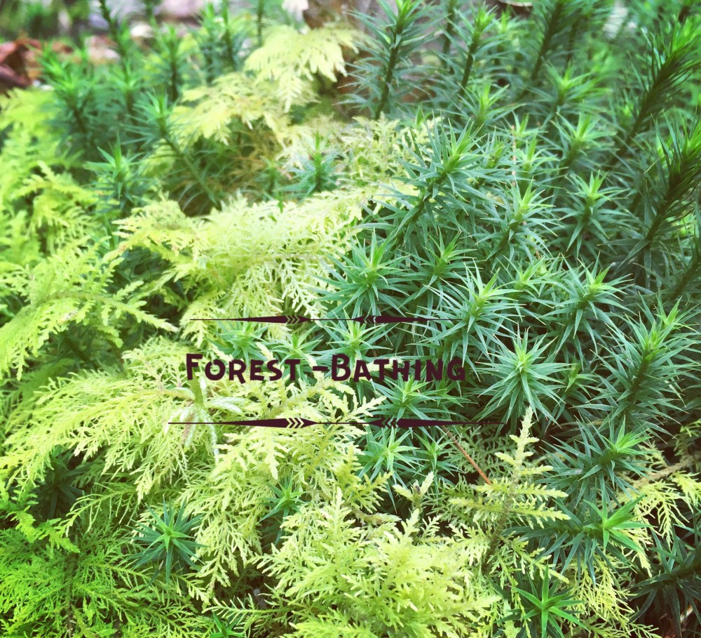 0E9AA9CE-A777-4154-9233-16FA95CA5169