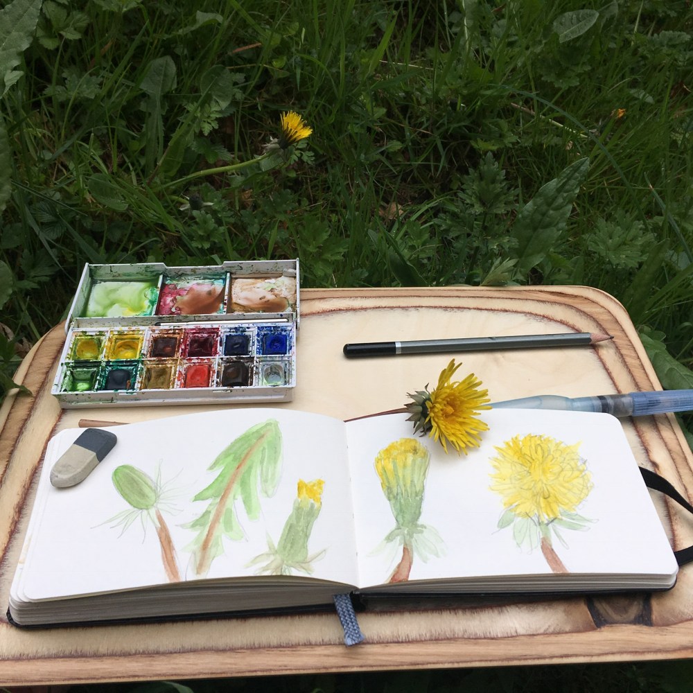 3AB49D24-C1D0-4374-A4A4-D678B5D2098D