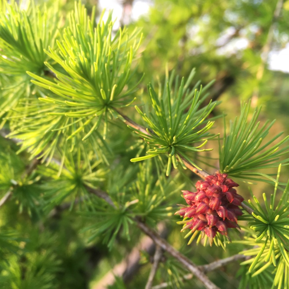 38F48695-8A76-41CA-82E7-3B12AB21977E