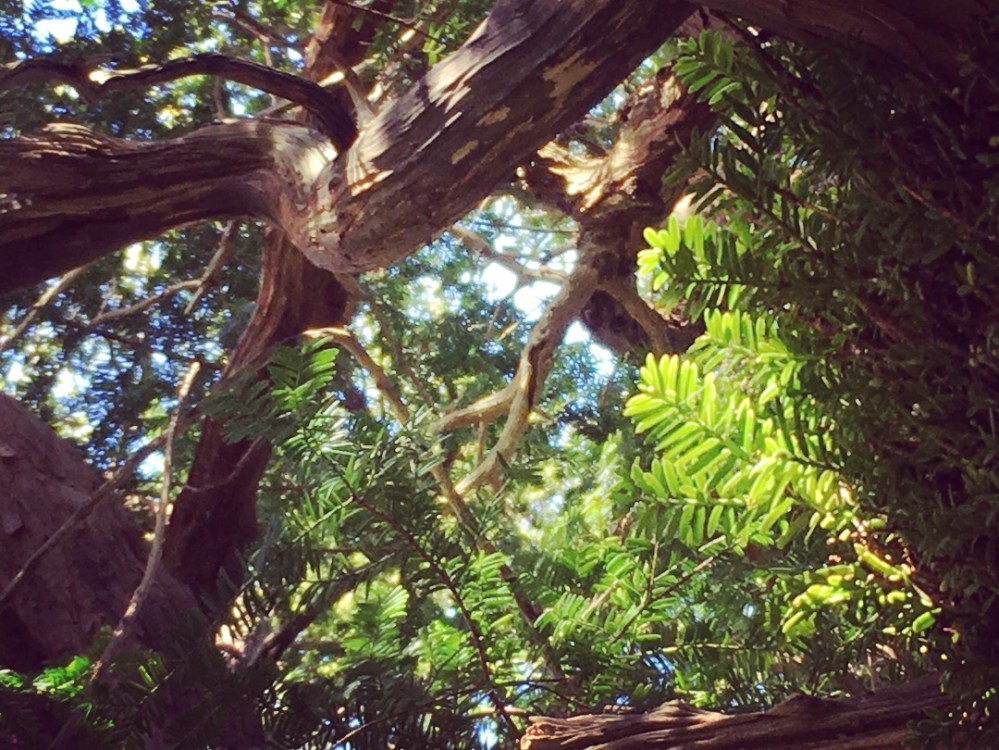 43F947CB-ADFD-4430-9F4A-3E3F1A863D95