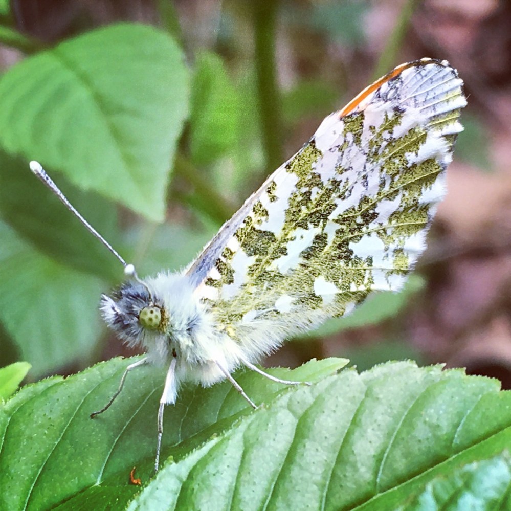 69848EC4-B817-49A5-8B22-6FAB5BCC7920