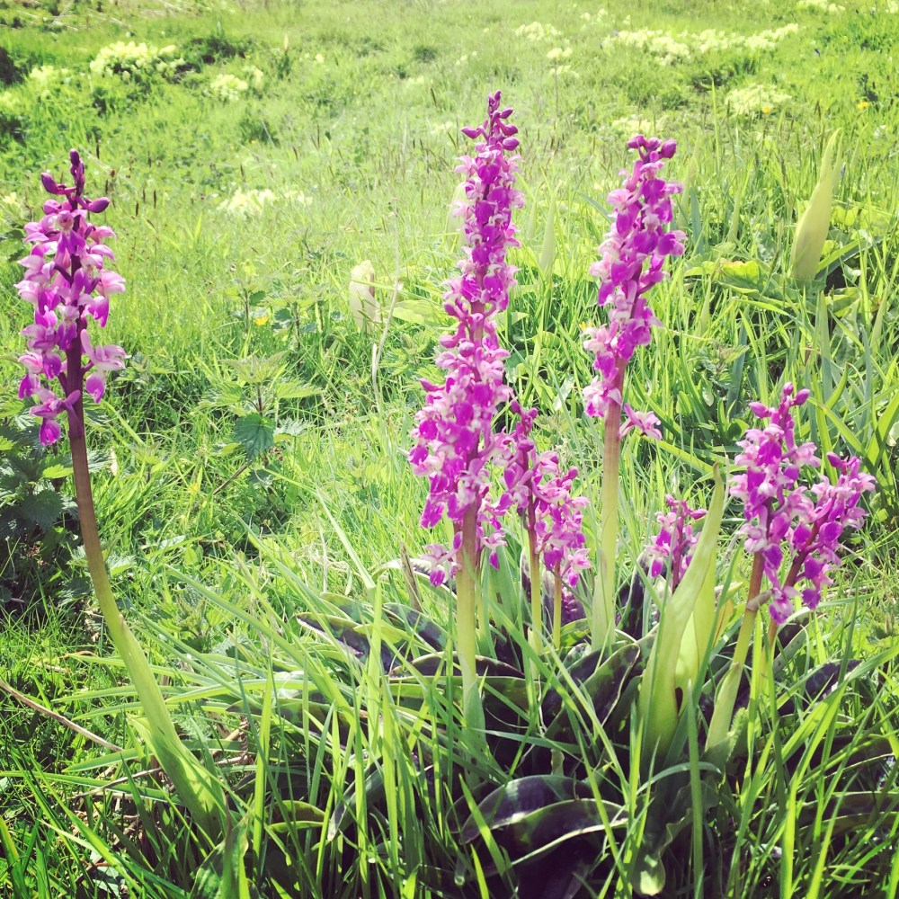 7DB36995-A746-4A5E-BC0A-1279A260DBDE