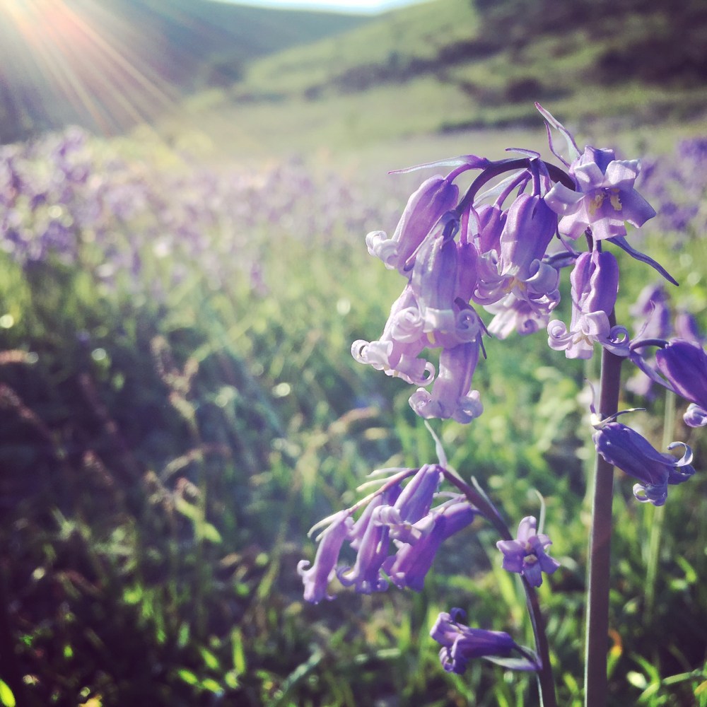 CD6EA474-E1BF-469C-91CD-71906A2AAB0C