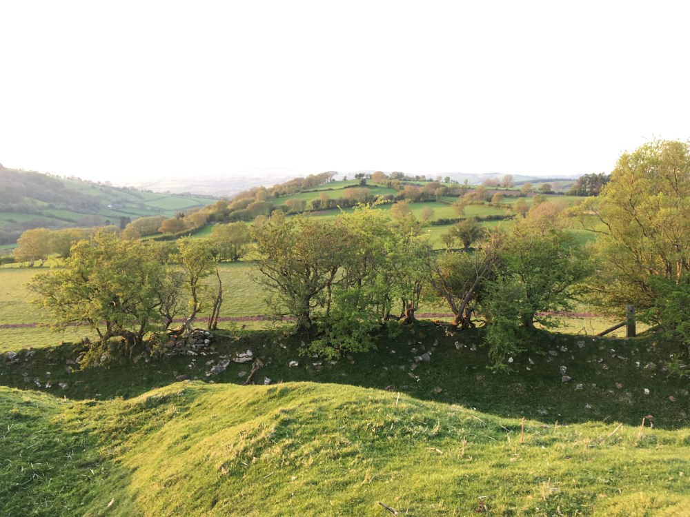 FF3AC66C-BB72-45E4-A7B5-4DCFB3ADCBA0