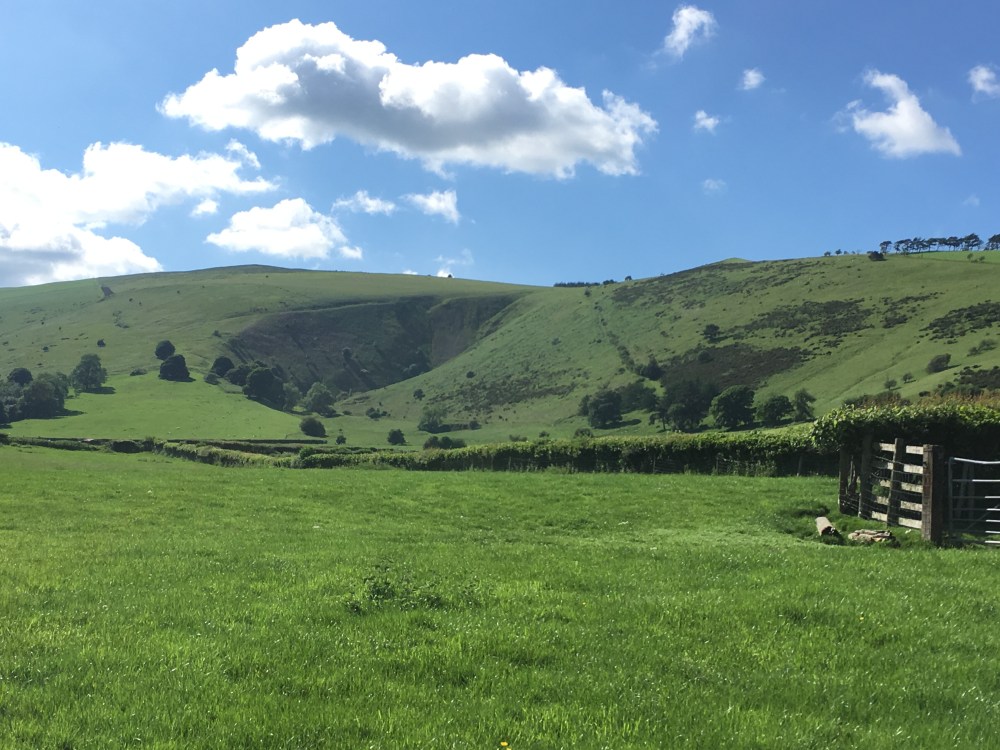 0907B46A-B005-437F-9876-A2E81849FBB9