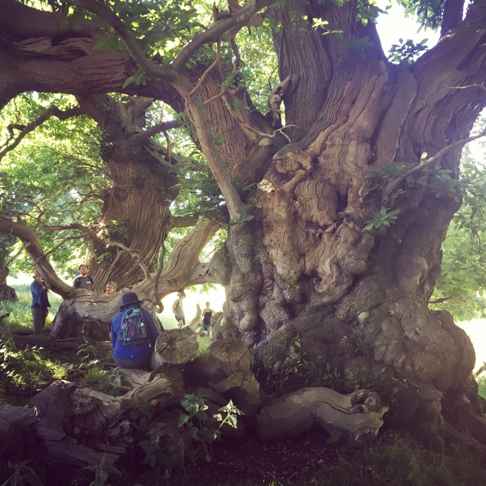 220DABB0-C5F0-4CC1-9611-0D031F73FA74