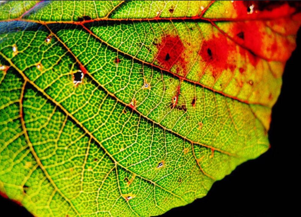 48B1687E-25D4-4F93-96AE-AB943C47A6E6