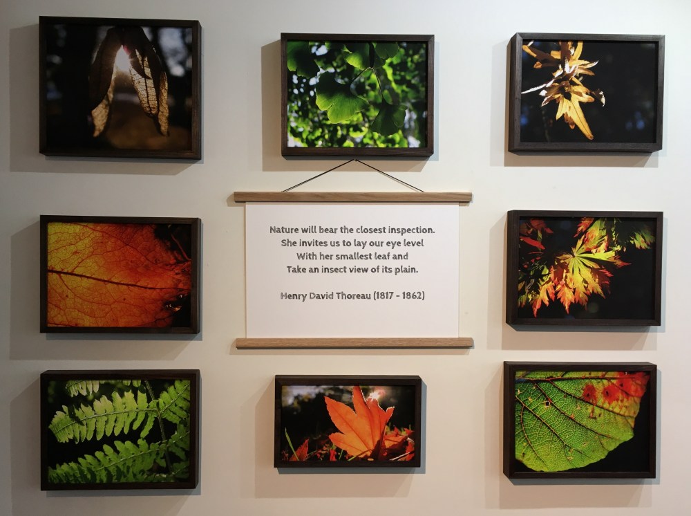 7B279FB8-677E-41ED-A6F1-836051F61315