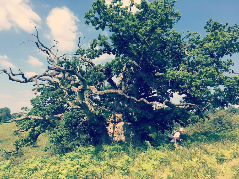 E7FF0F17-405E-4558-8EC1-46CBF7F35BFE