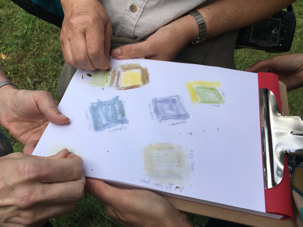 7603B342-9B9A-48DC-BDD2-830D38B74D3B