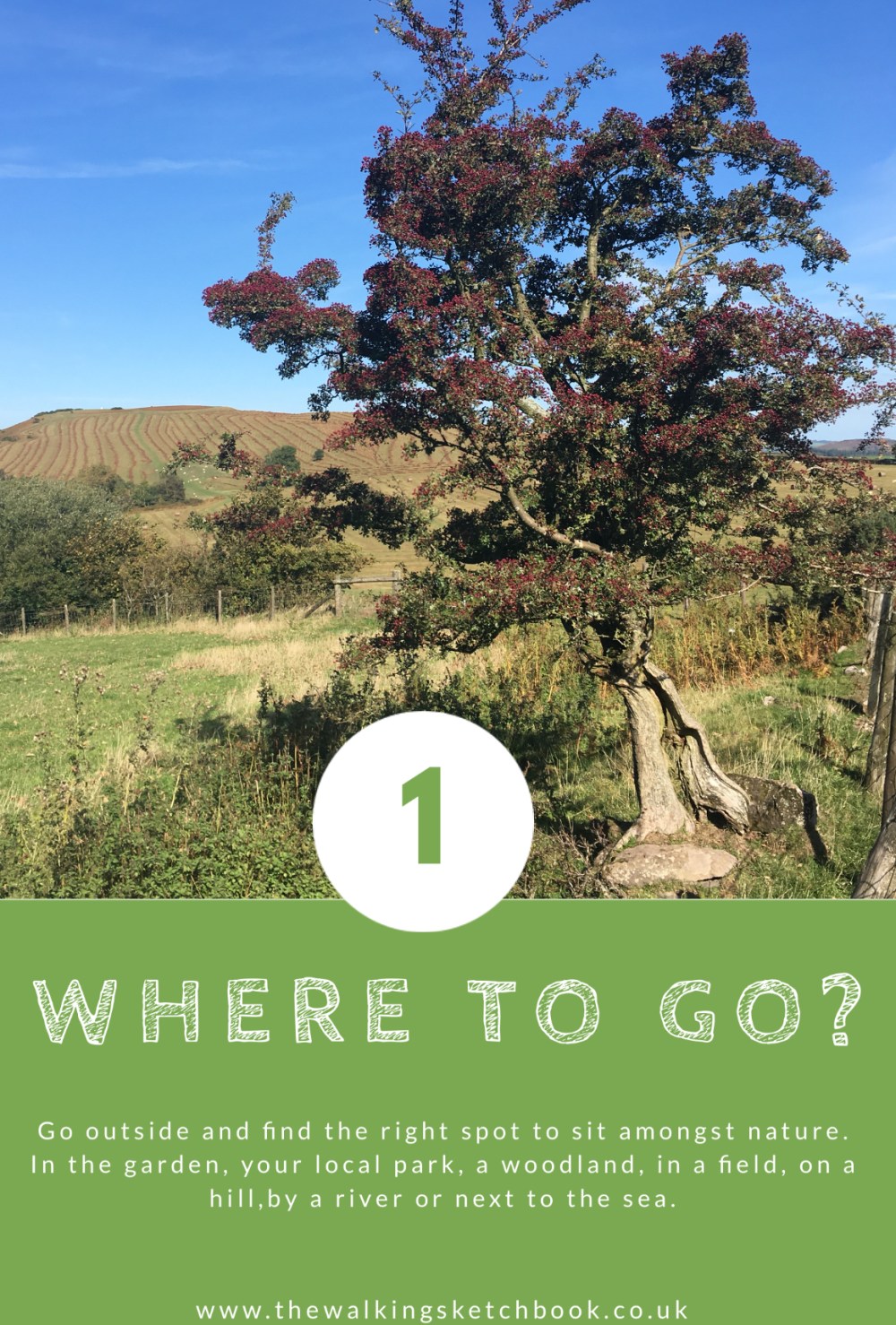 0850E02A-B4D8-42D4-BDCA-864892F47357