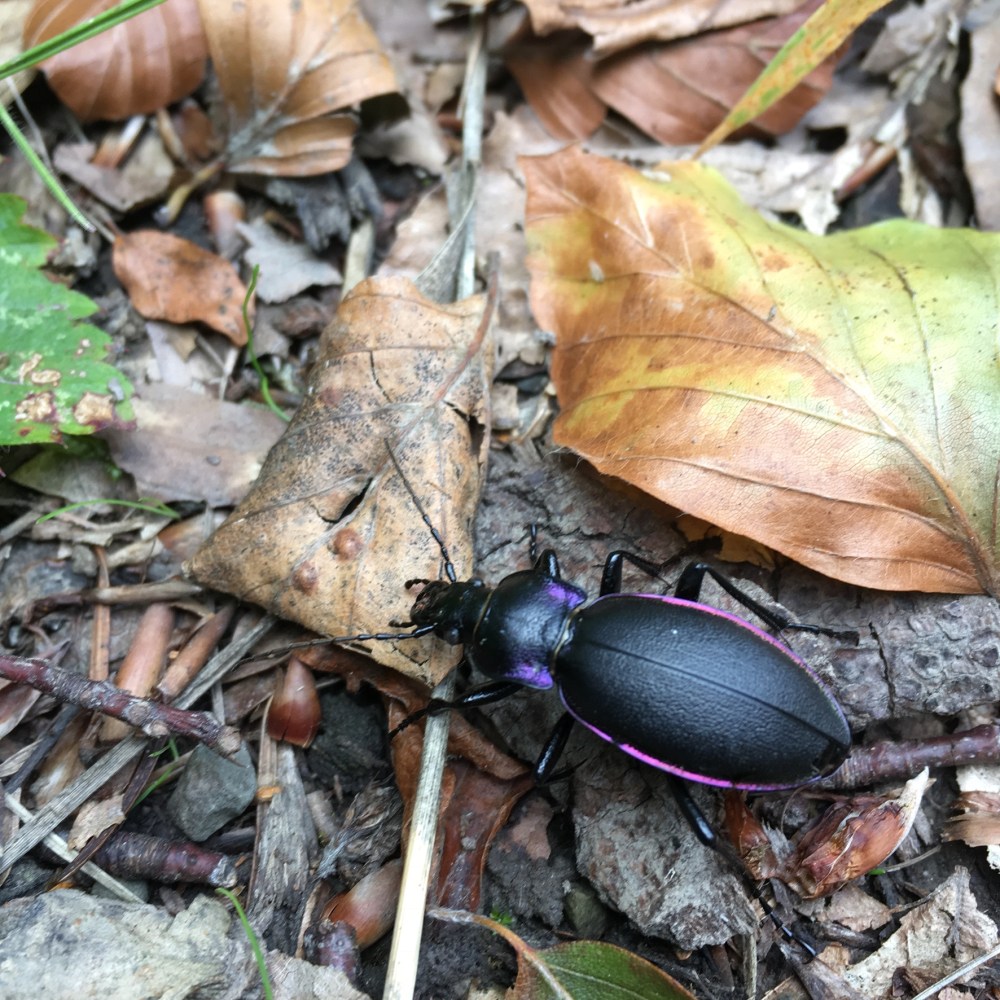 3DD1ED43-62DD-4A2C-B70E-34471BCC167C