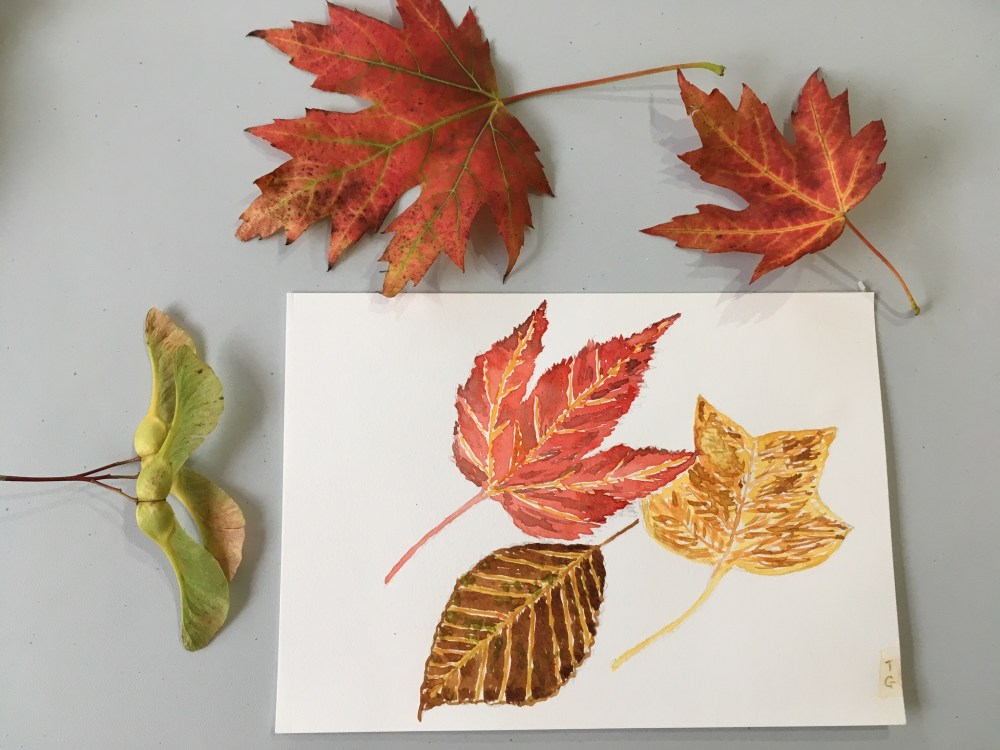 5E1EE2E6-B3D5-44E4-BF63-732A26E7E3B7