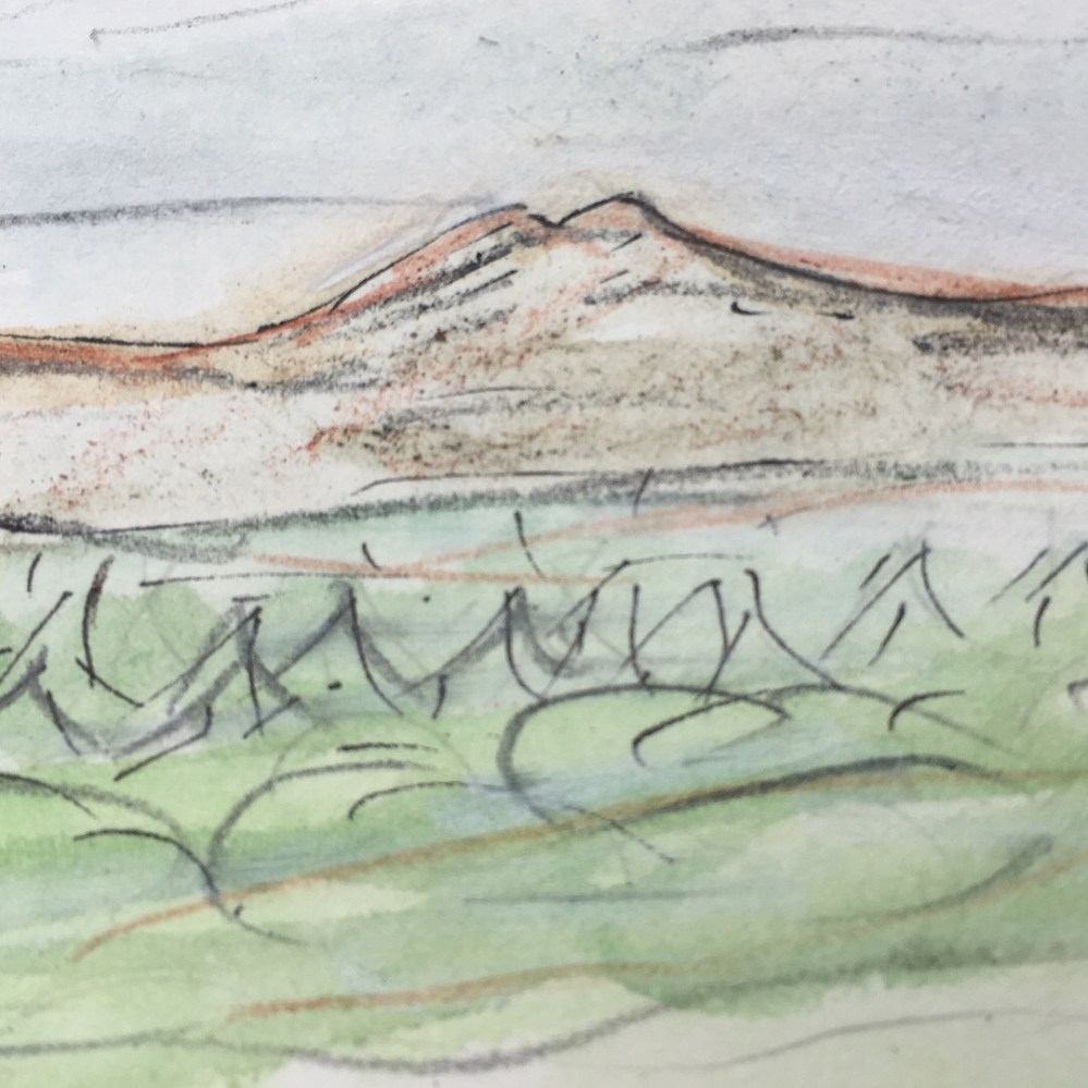 AEF16FE7-5977-4B96-9D7A-0709DCBD2D10