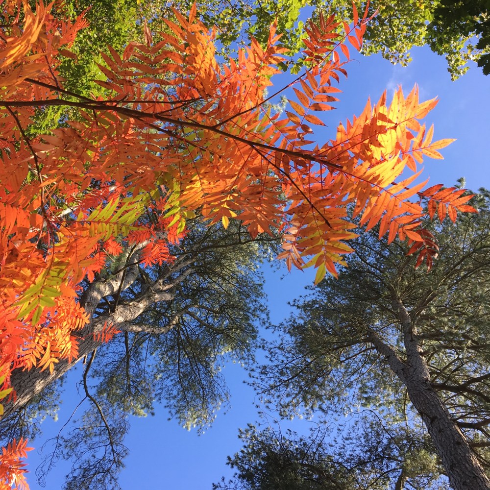 B1F02E62-1273-43BE-B78A-ACF2EDD13411