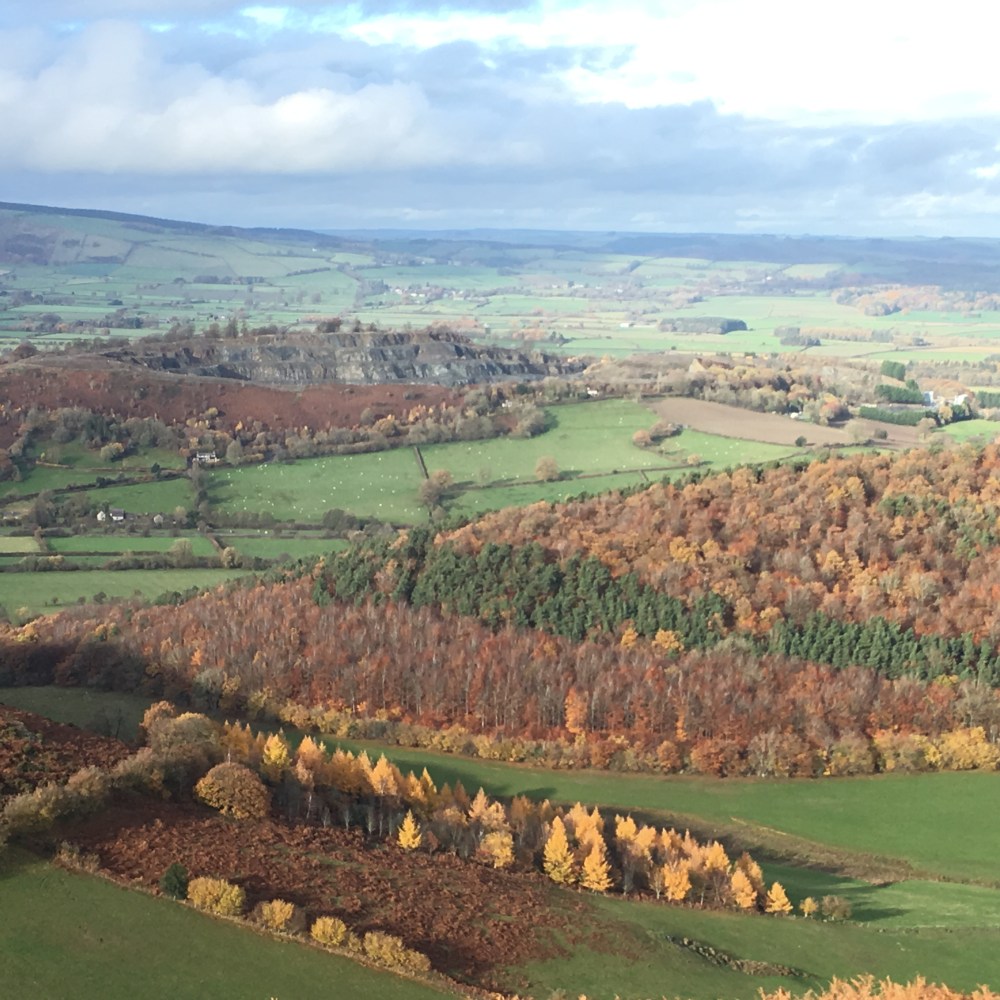 3F0C00C7-E837-4F0F-B35B-2428625C9F71