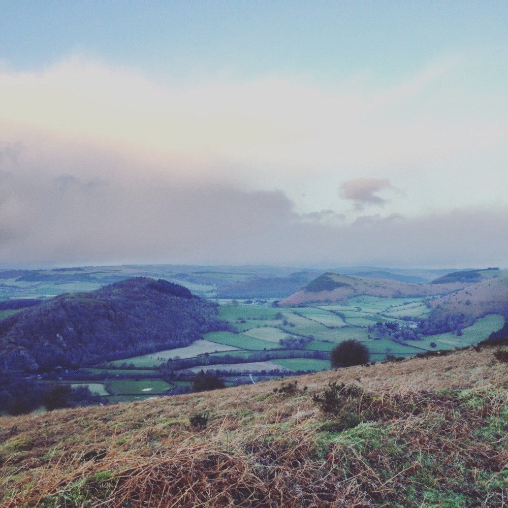 7D4DB238-0391-4D0B-B183-660DC2B82EB7